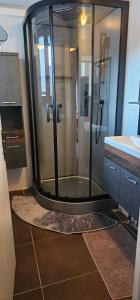 a shower with a glass door in a bathroom at La BREZOUNIÉRE 2 in Risoul +38 photos