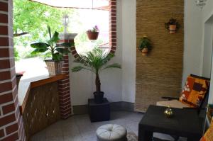 a small balcony with a potted plant in a window at Hotel und Restaurant Feustel in Plauen