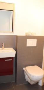 a bathroom with a white toilet and a sink at Ferienhaus Fisch in Bad Ragaz +18 photos