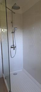 a shower with a glass door in a bathroom at Cabañas Las Araucarias in San José de la Mariquina +17 photos