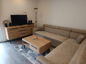 a living room with a couch and a coffee table at Apartment Lane in Bihać