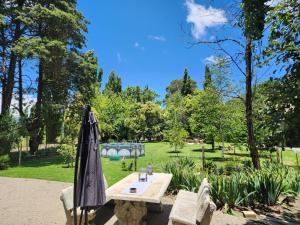 an umbrella sitting on a table in a park at Walnut Cottage in Clarens
