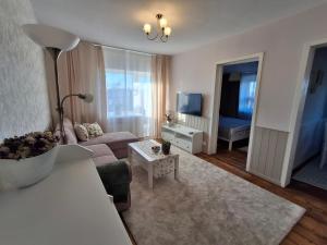 a living room with a couch and a table at Tammiku apartment in Kunda