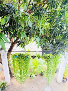 a white fence with a tree and some plants at S70 Villa in Dickwella