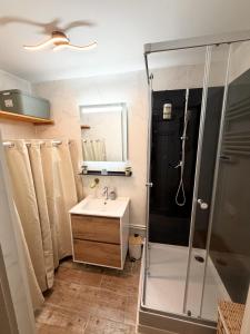 a bathroom with a shower and a sink at L' Escapade Pannessac premier étage in Le Puy-en-Velay