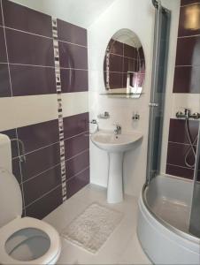 a bathroom with a toilet and a sink and a shower at Casa Rares in Moieciu de Sus +23 photos