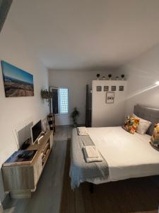 a bedroom with a bed and a television in it at Herdade dos Salgados do Fialho in Faro
