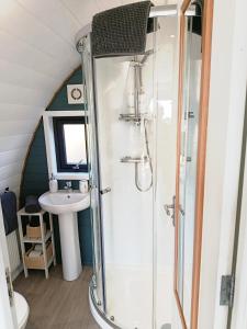 a bathroom with a shower and a sink at The Nest in Doolin