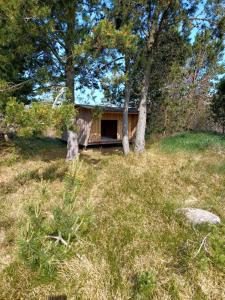 a cabin in the middle of a field with trees at Beautiful cottage on a large natural plot in Ålbæk +4 photos
