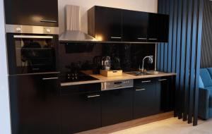 a kitchen with black cabinets and a sink at Apartments Kellergasse in Purbach am Neusiedlersee