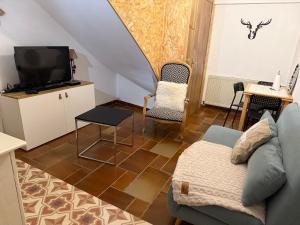 a living room with a couch and a tv at Le souplex d'Anaïs in Schirmeck