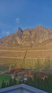 a view of a vineyard in front of a mountain at Historische Villa mit Drachenfels-Blick in Bad Honnef am Rhein +6 photos