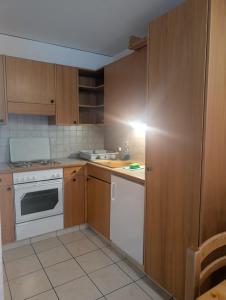 a kitchen with wooden cabinets and a white appliance at Centre Thermal 2 chambres studio EV110 in Ovronnaz