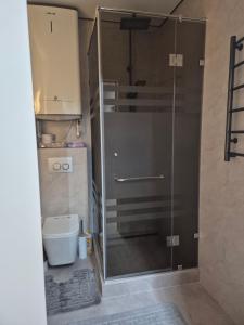 a glass shower in a bathroom with a toilet at ЖК Альфараби in Kokshetau +6 photos