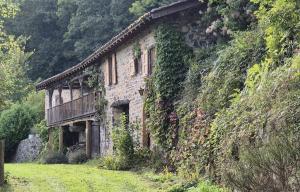 an old stone house with ivy on the side of a hill at Le balcon de Vernay in Vernay