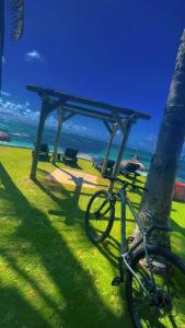 a bike parked next to a tree next to the ocean at Pebbles Guest House Digha in Digha