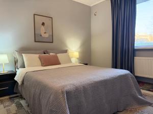 a bedroom with a large bed and a window at Odessa Guest House-City Center in Chişinău