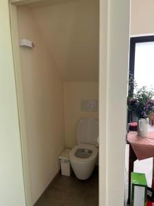 a bathroom with a toilet in a small room at Bellefleur Cottage in Herent +12 photos