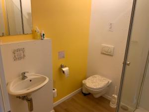 a bathroom with a sink and a toilet at La Schaumauna, privater Spa in Oberkirch +14 photos