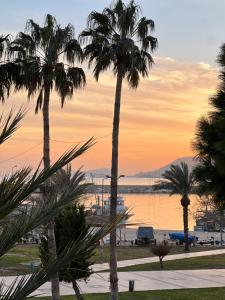 a group of palm trees in front of the water at Marina Suite Otel in Silifke