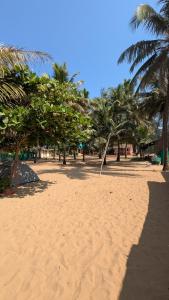 a beach with a bunch of trees and sand at Coco Beach Front Stay & Cafe in Gokarna