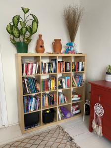a book shelf filled with books in a room at Królewska Sielanka in Mielnik