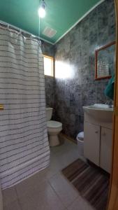 a bathroom with a toilet and a shower curtain at Cabaña Pulingue-Base Camp in Ancagual +23 photos