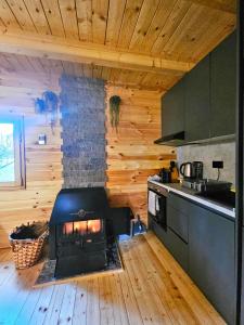 a kitchen with a fireplace in the middle of a room at Apartments Homeland in Kolašin