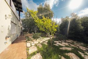 a garden with a stone walkway next to a building at Engel apartments -אירוח למטיילים בגליל עליון in Tsiv'on