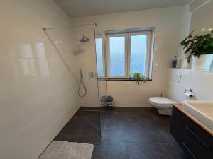 a bathroom with a shower and a toilet and a sink at Gästezimmer Limburg City in Limburg an der Lahn +29 photos