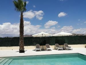 a pool with chairs and a palm tree and umbrellas at Villa - Sleeps 4 - Pool - Patio - Parking in Arboleas