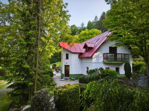 a house with a red roof in the woods at Pension DORO in Černý Dŭl