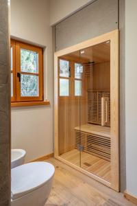 a bathroom with a toilet and a glass shower stall at Baita Valon La Piciola in Stenico