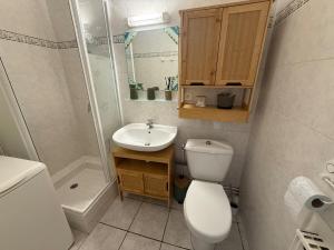 a bathroom with a toilet and a sink and a shower at Studio moderne au cœur de Compiègne in Compiègne