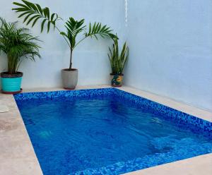 a blue swimming pool with potted plants in a room at Casa Residencial con Alberca Privada & Gimnasio in Ciudad Valles