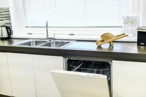 a dishwasher in a kitchen with a sink at Casa Lina Tirano in Tirano +40 photos