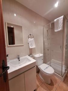 a bathroom with a toilet and a sink and a shower at Hostal i Apartaments Populetus in Poboleda +50 photos