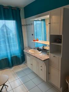 a bathroom with a sink and a mirror at Chez Corinne et Michel in Saasenheim