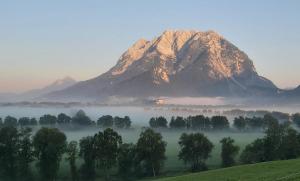 a mountain rising above a foggy valley with trees at The Garden Residence in Falkenburg