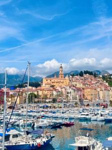 a bunch of boats are docked in a harbor at St Tropez Surprise in Gassin