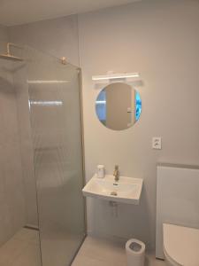 a bathroom with a shower and a sink and a mirror at Aurora Andøya Suites in Andøya +69 photos
