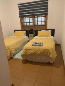 a bedroom with two beds with yellow sheets and a window at Chalet Tegueste Isla de Tenerife in Tegueste