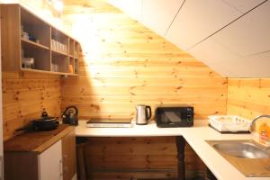 a kitchen with wooden walls and a counter with a sink at Jaunmežu pirts in Rūstuži