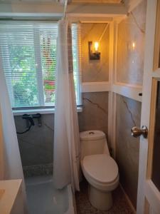 a small bathroom with a toilet and a shower at Apartamento Villa Amanecer in Villarrica +20 photos