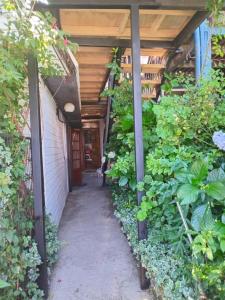 a corridor of a building with green plants at Apartamento Villa Amanecer in Villarrica