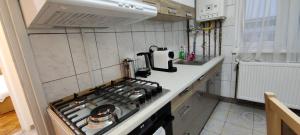eine kleine Küche mit Herd und Spüle in der Unterkunft La Muzeu in Tîrnăveni