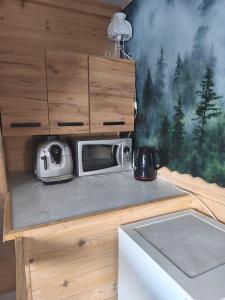 a kitchen counter with a microwave and a sink at Agroturystyka w Maruszynie in Maruszyna