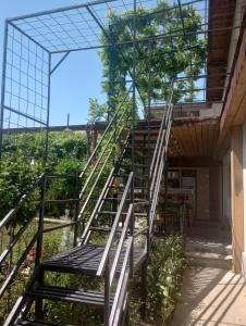 a set of stairs leading up to a building at Vila Georgeta, Camere de închiriat in Techirghiol