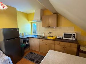 a kitchen with a black refrigerator and a microwave at Atticapartament in Kluszkowce