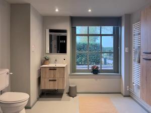 a bathroom with a toilet and a sink and a window at De Noorderzon in Benningbroek